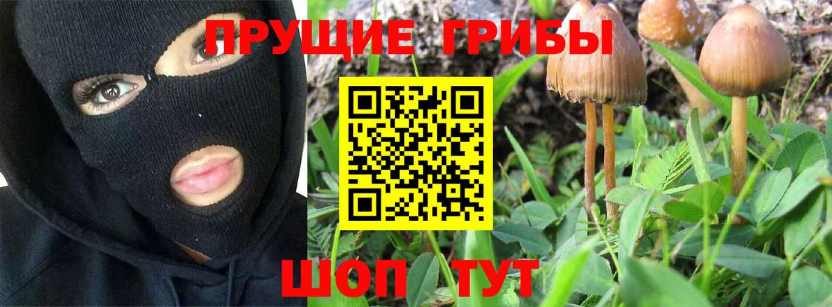 Галлюциногенные грибы мухоморы Усть-Лабинск